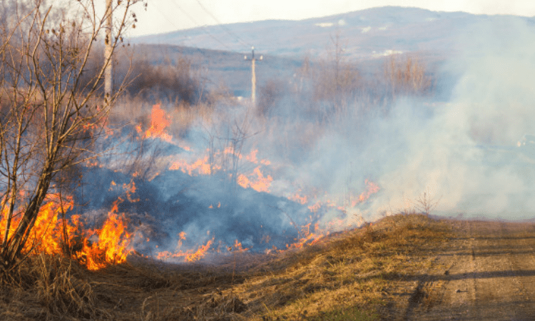 Wildfire near LA grows to over 100,000 acres