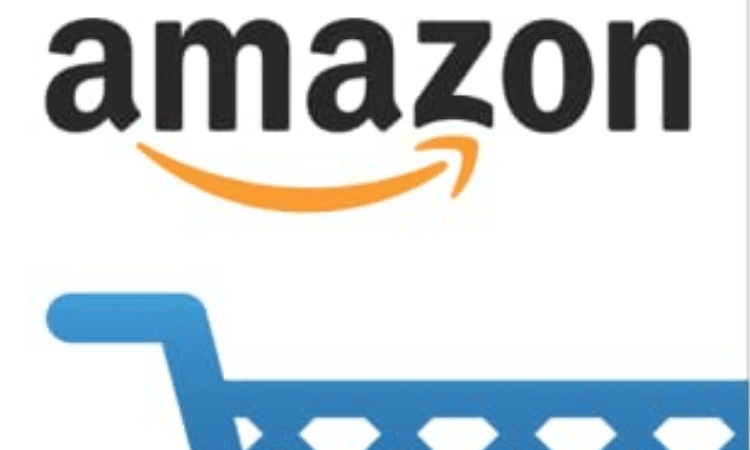 Amazon India adds ‘tens of thousands’ of delivery partners