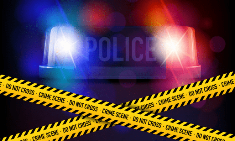 I have not cheated anyone, the business failed: Kamaruddin