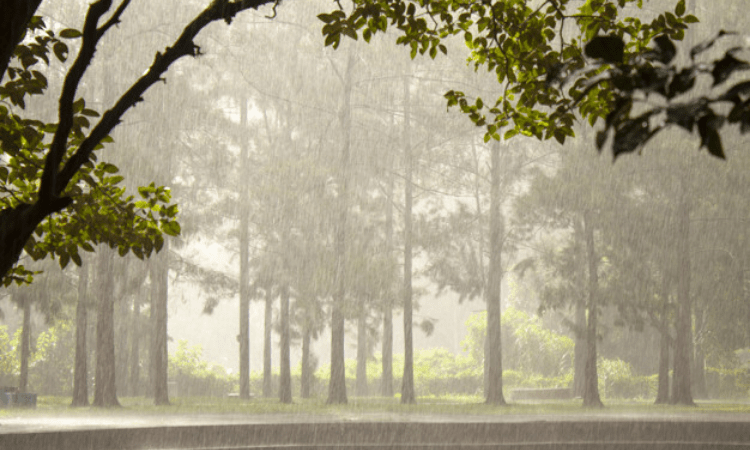 Heavy rain cuts off Bengal-Sikkim highway after landslides