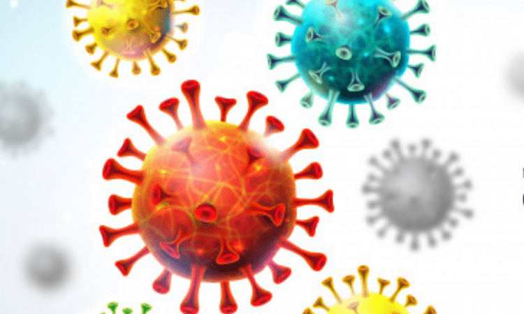 52 fresh corona cases in Agra takes tally to 6,054