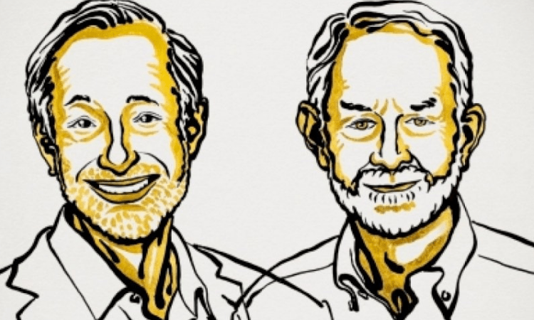 American economists share 2020 Nobel Prize in Economics