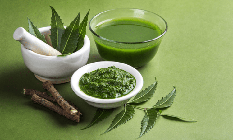 ‘Ayurveda-based Covid protocol is not replacement to clinical SOP’