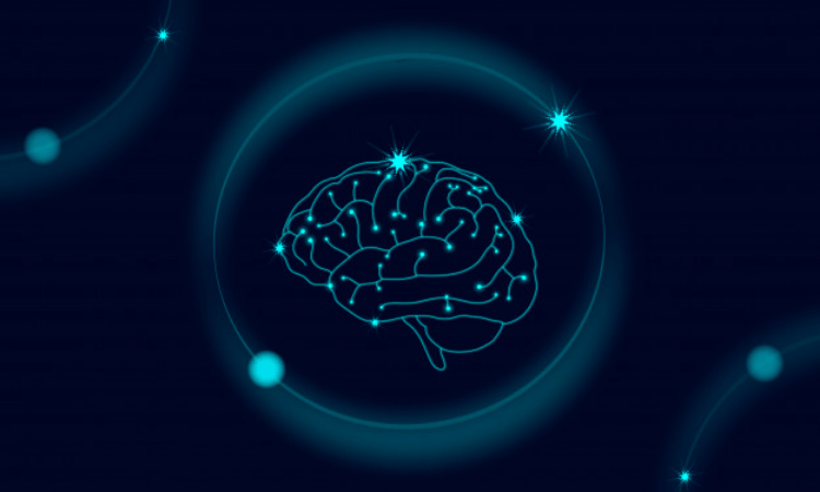 Brain, not willpower, decides if you will lose weight or not