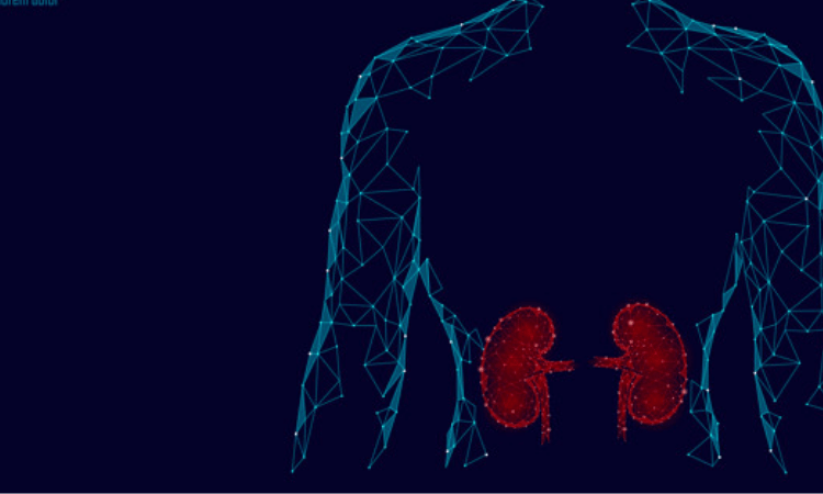 Kidney disease linked to higher death risk for Covid-19 patients: Study