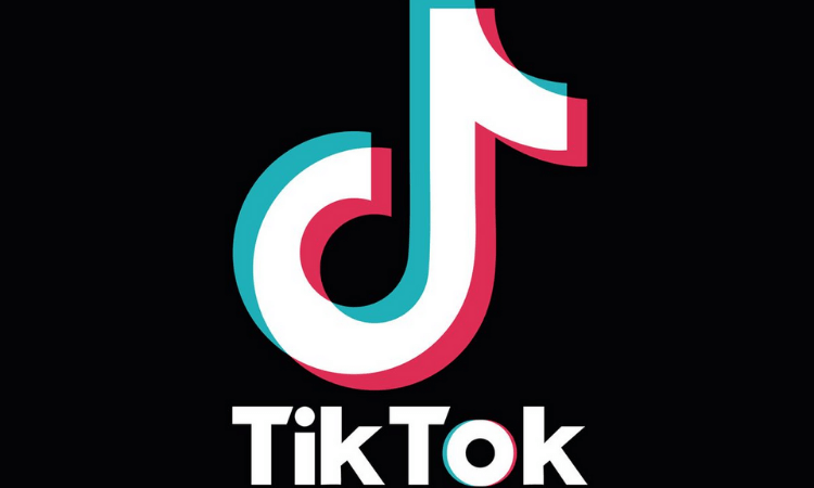 Rawalpindi cops banned from posting on TikTok