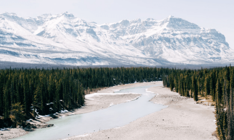 Some glaciers are also advancing: Geology professor