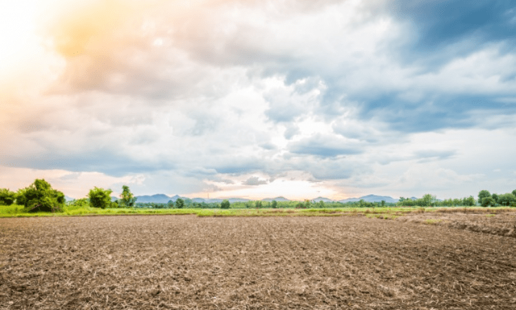 Land registration resumes as Telangana rolls out Dharani services