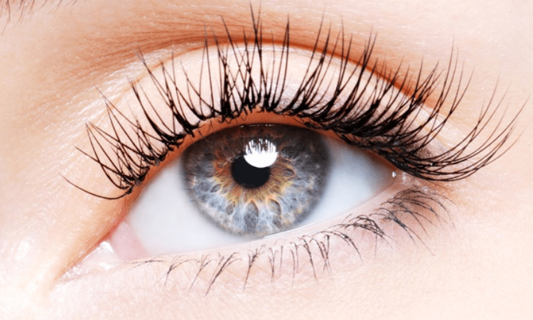 AI model uses retinal scans to predict Alzheimer’s disease
