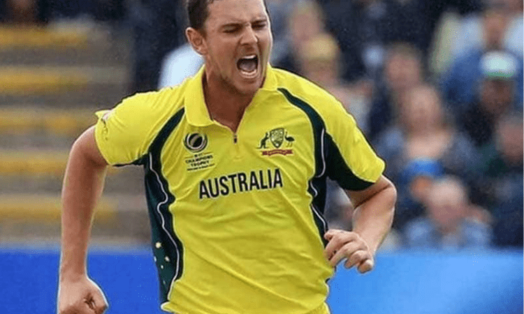 Wreckers-in-chief Hazlewood, Cummins reach personal milestones
