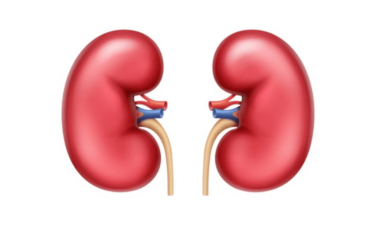 Kidney disease leading risk factor for Covid hospitalisation: Study