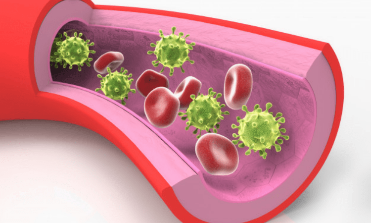 Maintain healthy cholesterol levels to fight Covid: Experts