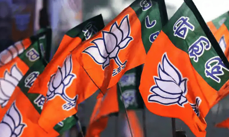 BJP gains in UP Vidhan Parishad polls