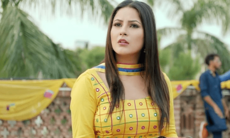 Shehnaaz Gill: 2020 has been a milestone for me