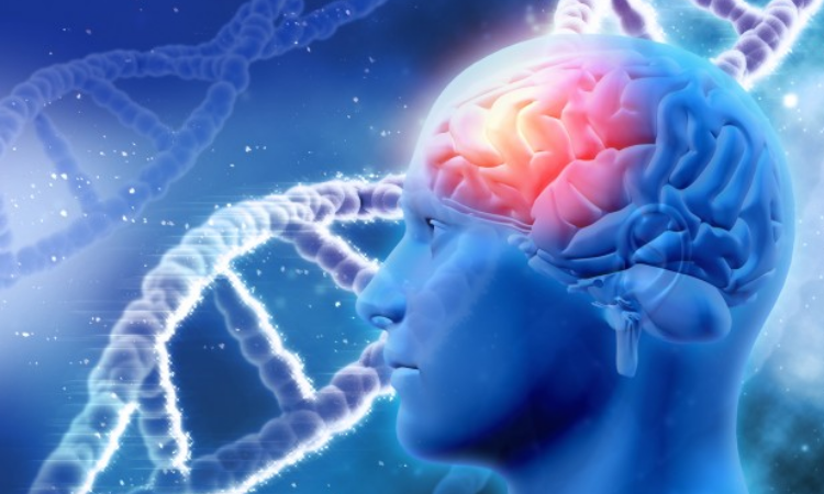 Brain cancer linked to tissue healing: Researchers
