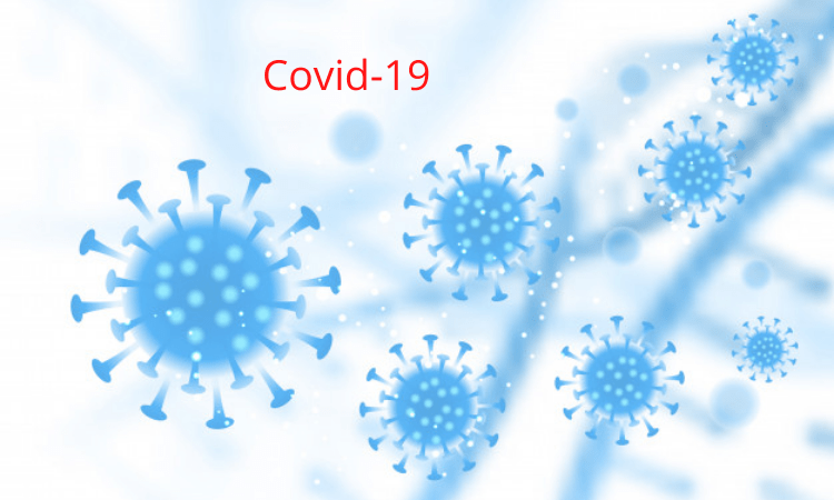 Brazil sees over 1,000 Covid deaths in 24 hours