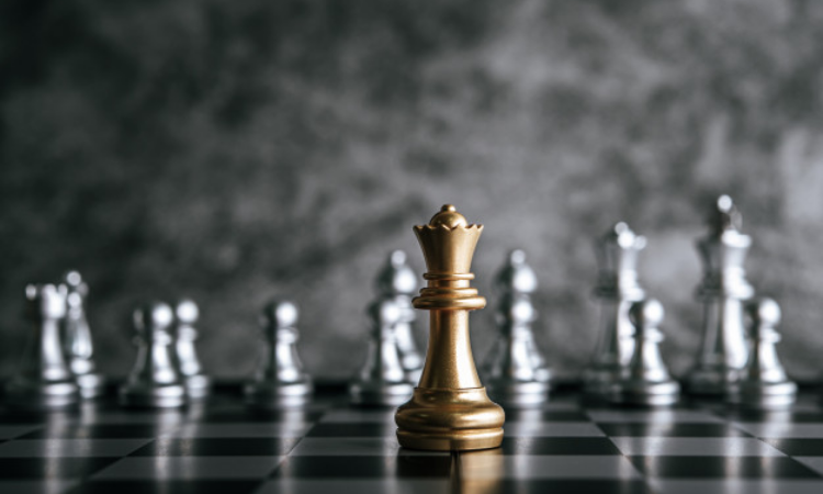 Chess federation polls underway