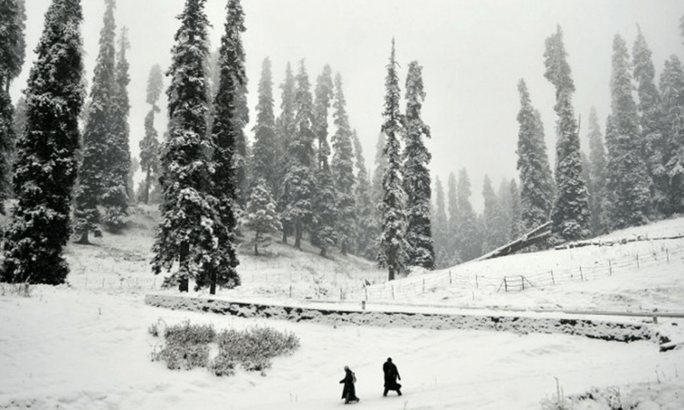 Intense cold amid dry spell till Jan 31 in J&K, Ladakh