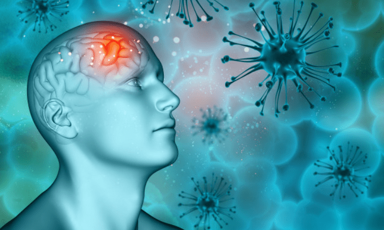 Novel gene variant linked to stroke