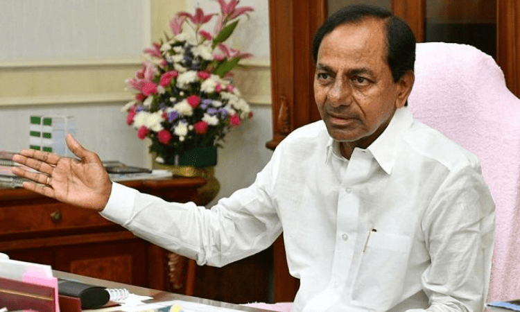 T’gana to resume Covid-19 disrupted sheep distribution