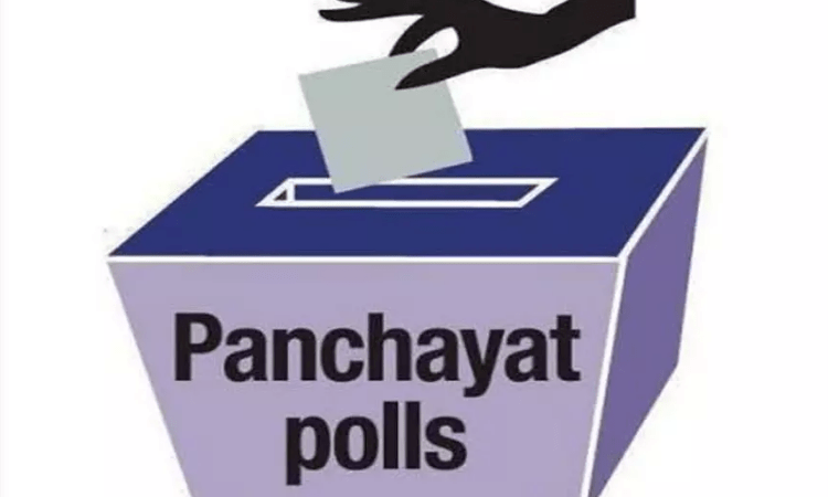 Andhra Pradesh holds Panchayat polls in disputed Kotia