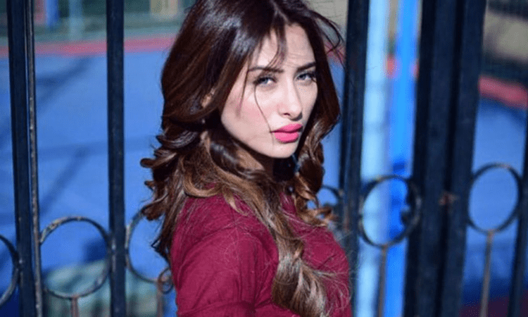 ‘Bigg Boss 13’ fame Mahira Sharma in Punjabi star Karan Aujla’s music video