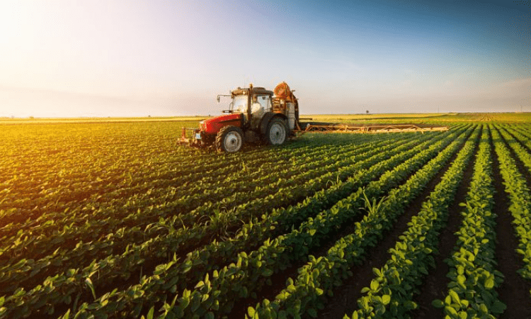 Govt must allocate 13% of Budget to farm sector: BKS