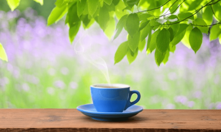 Green tea compound boosts protein’s tumour-suppressing activity