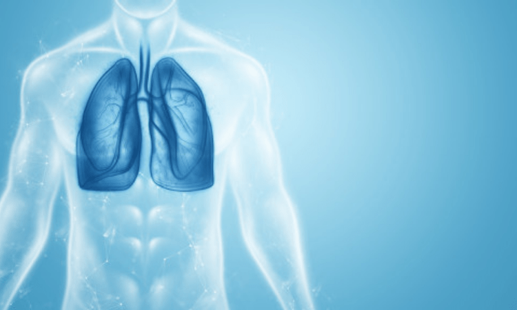 How bacteria defeat cystic fibrosis drugs