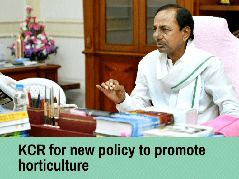 CM KCR for new policy to promote horticulture