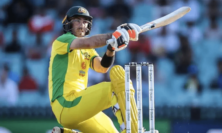 RCB show how they planned Maxwell bid in video