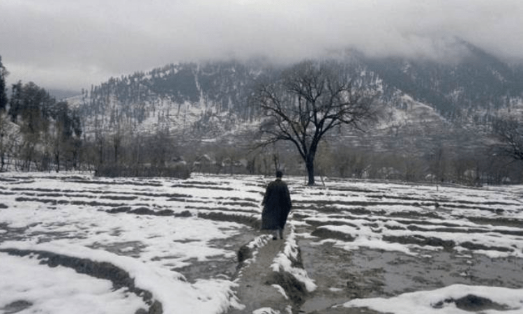 Respite from cold wave in J&K, Ladakh
