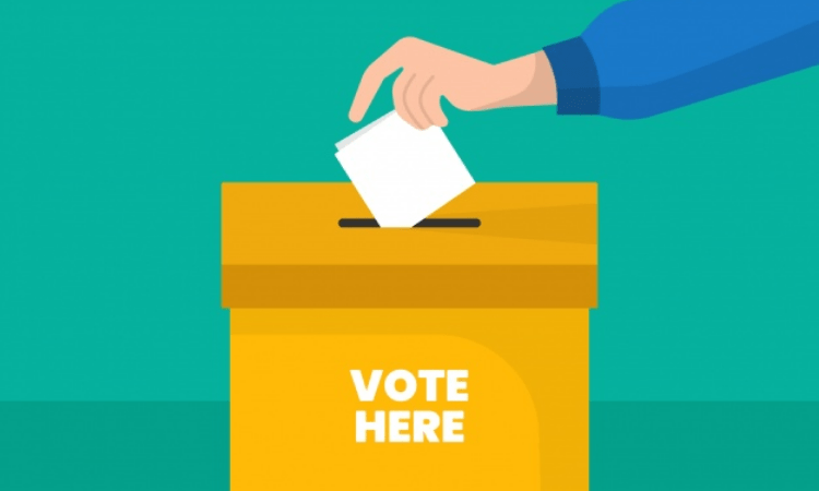 Third phase of panchayat polls begin in Andhra Pradesh