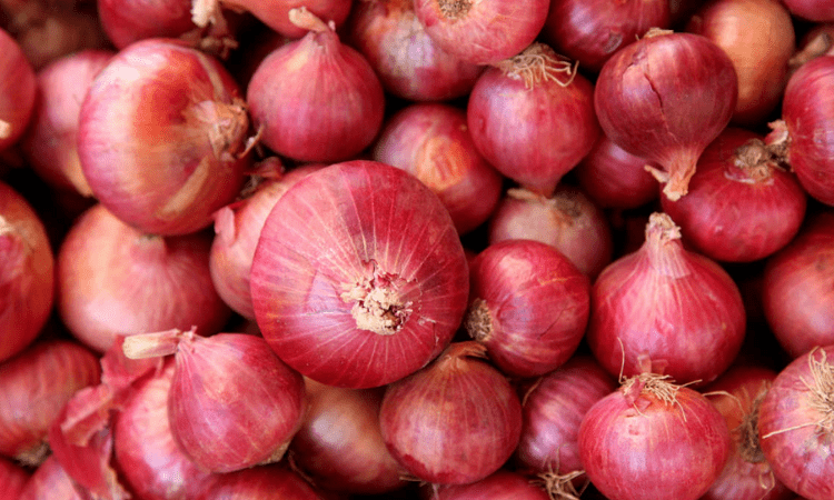 India exported 87000 tonnes of onion during Jan-Feb 2021 : Tomar