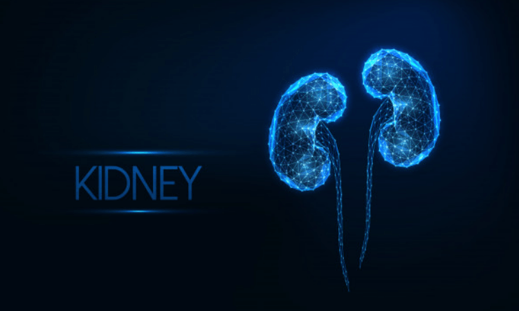 Kidney stones linked to bone problems: Study