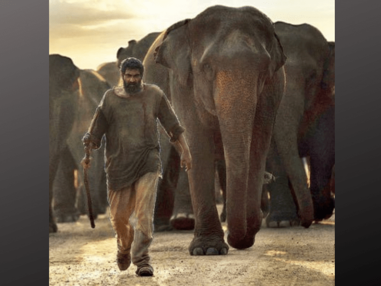 Rana Daggubati: You don’t care where the filmmaker is from