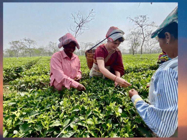 Priyanka Gandhi plucks tea leaves, interacts with tea garden workers in Assam