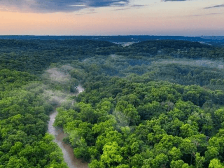Asteroid that eliminated dinosaur gave rise to Amazon rainforest