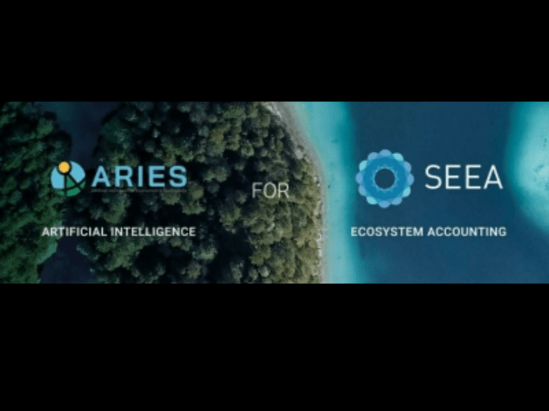 UN launches intelligence tool for natural capital accounting
