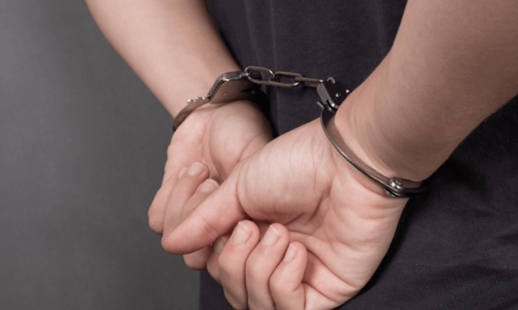 12 booked for killing dolphin in UP, 1 held