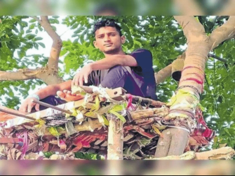 Covid positive Telangana youth spends 11 days on tree