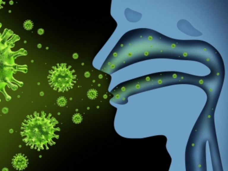 How does our body cope with stress of viral infections?