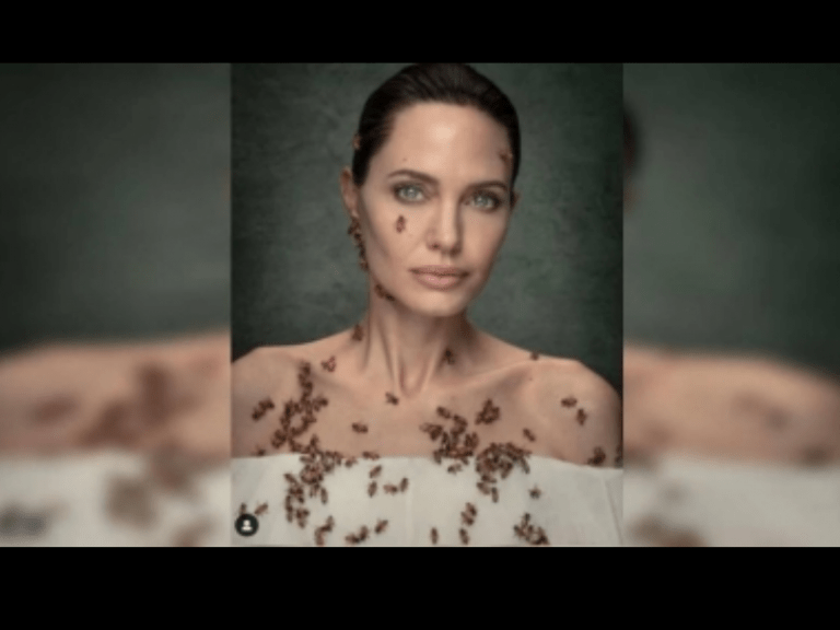 Angelina Jolie's 'bee' story