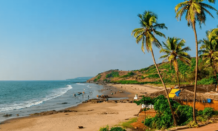 Goa extends curfew till June 7, says CM’s office