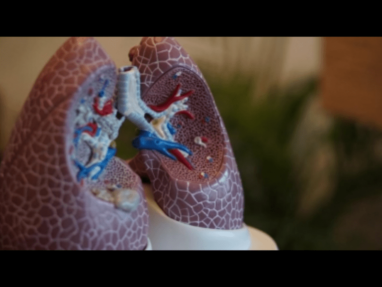 3D ‘lung-on-a-chip’ model to test new therapies for Covid