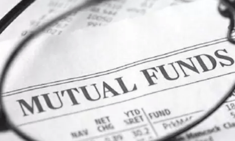 Average return of small cap funds in last 1 year stands around 100%