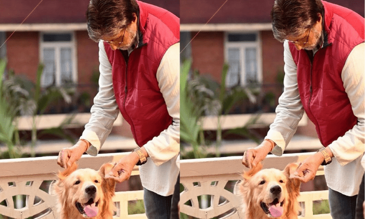 Big B shares picture posing with his ‘co-star’