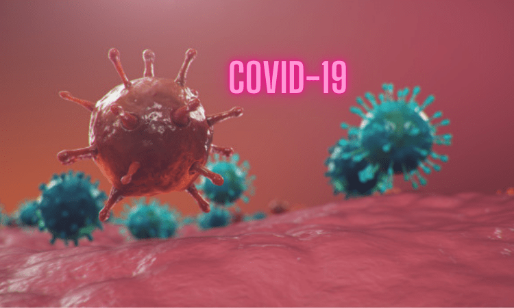 Supply of Covaxin to govt at Rs 150/dose not sustainable: Bharat Biotech