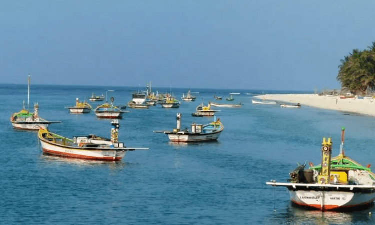 Fishing ban ends in TN, but fewer boats to venture into sea