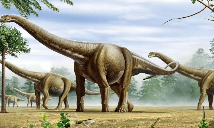 Footprints of last dinosaurs walked 110M years ago in UK found